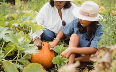 Top 3 working gap-year jobs